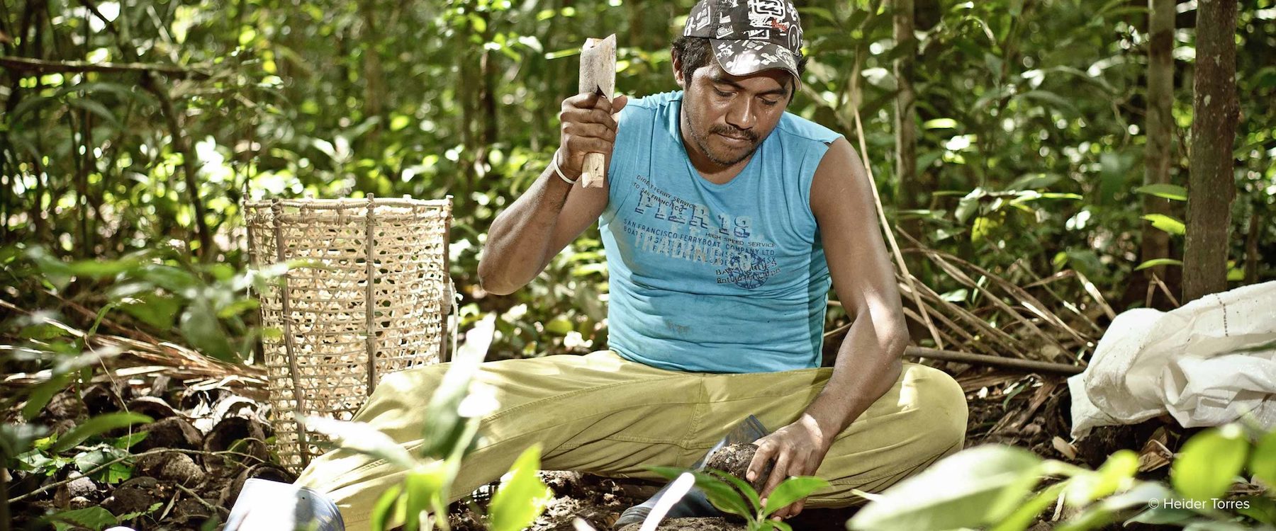 Jari_Pará REDD+ Project