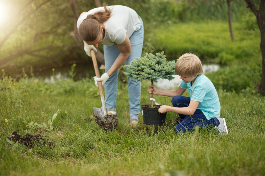 Family Planting