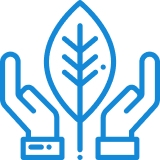 eco 1