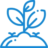 plant 1